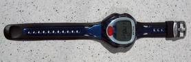 Polar S410