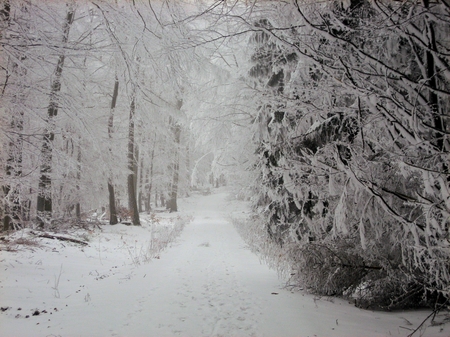 Rheinhöhenweg 2