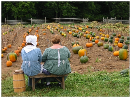 Herbst in Nova Scotia