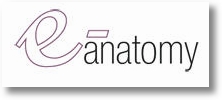 Anatomie Atlas