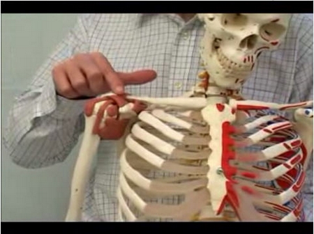 Physio Lehrfilme