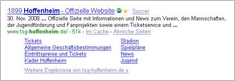 Hoffenheim Sitelinks