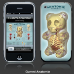 gummi-anatomie gummi-anatomie