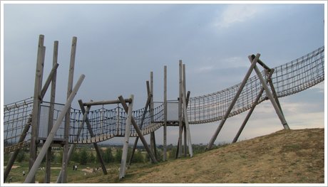 IMG 0323