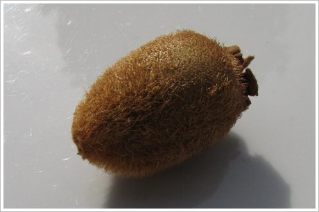 Kiwi klein