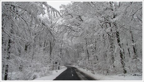 Strasse zwischen Hessloch und Auringen