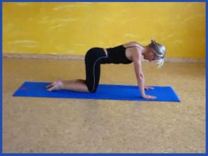 Rückentraining in Vierfüsslerstand Rückentraining